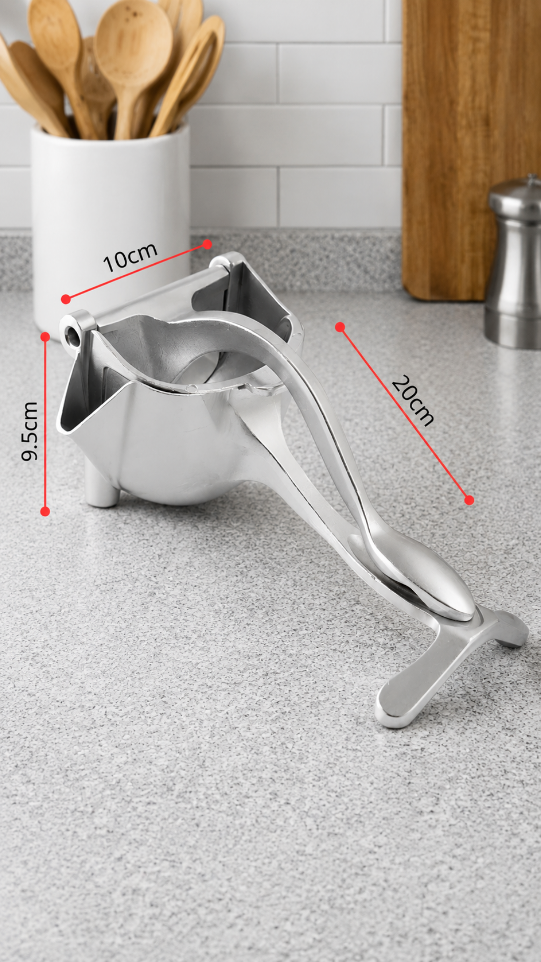 Espremedor de Frutas Manual Profissional em Aço Inox 6
